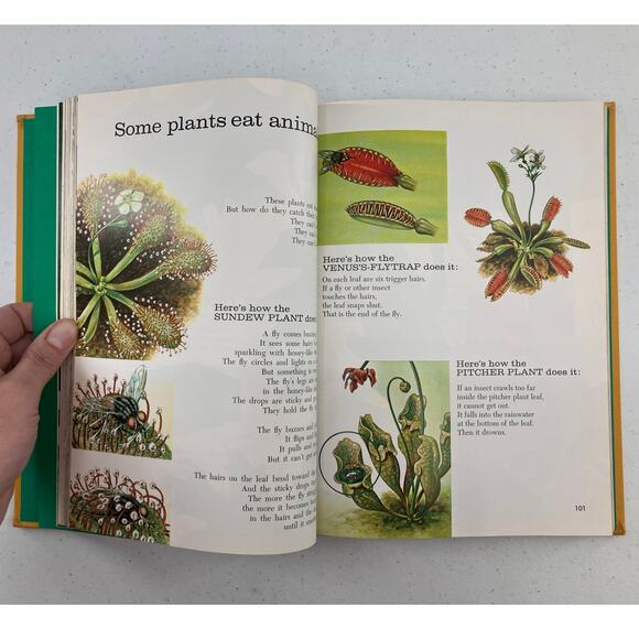 Vintage Childcraft Life Around Us How And Why Library Children's Encyclopedia - Picture 8 of 12